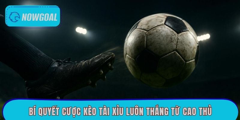 Bí quyết cược kèo Tài Xỉu luôn thắng từ cao thủ