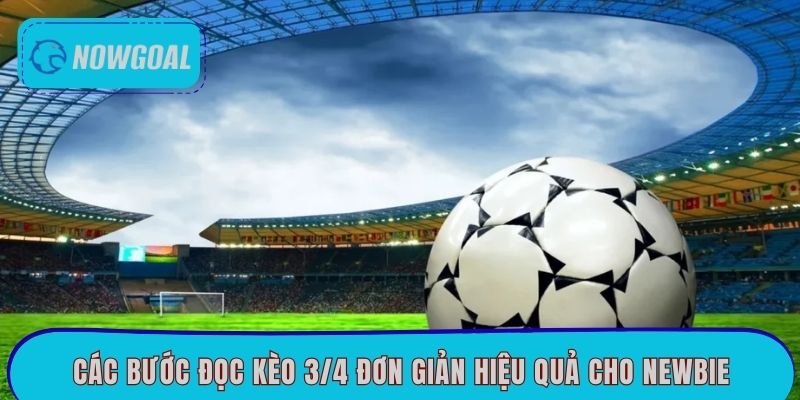 Các bước đọc kèo 3/4 đơn giản hiệu quả cho newbie