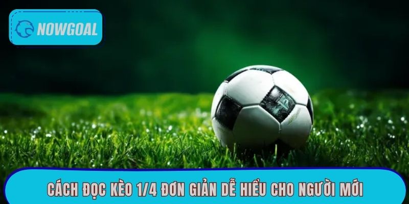 Cách đọc kèo 1/4 đơn giản dễ hiểu cho người mới