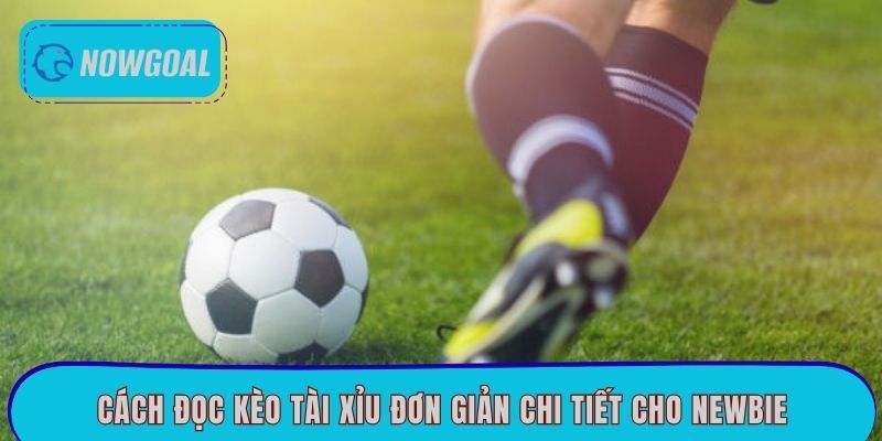 Cách đọc kèo tài xỉu đơn giản chi tiết cho newbie