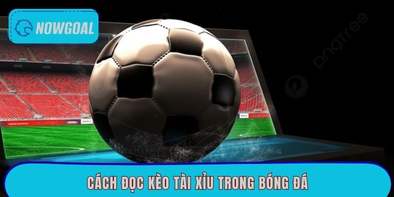 cach-doc-keo-tai-xiu-trong-bong-da