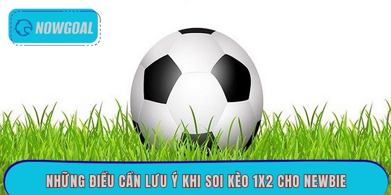 Những điều cần lưu ý khi soi kèo 1x2 cho newbie