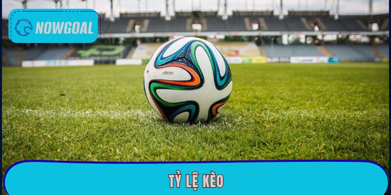 Bảng kèo Nowgoal - Thông tin đầy đủ, chính xác mỗi ngày